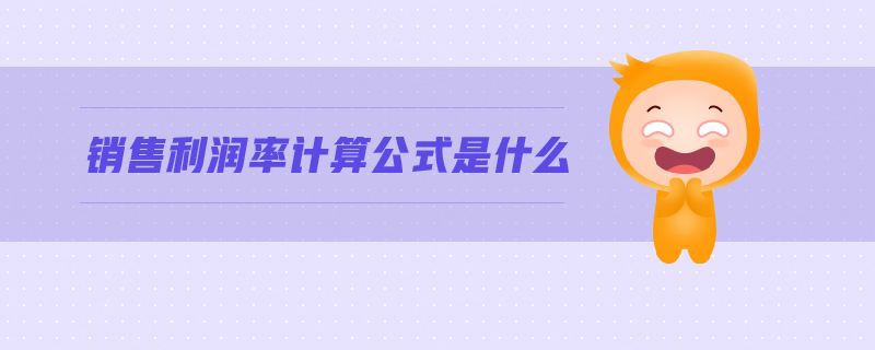 銷(xiāo)售利潤率計算公式